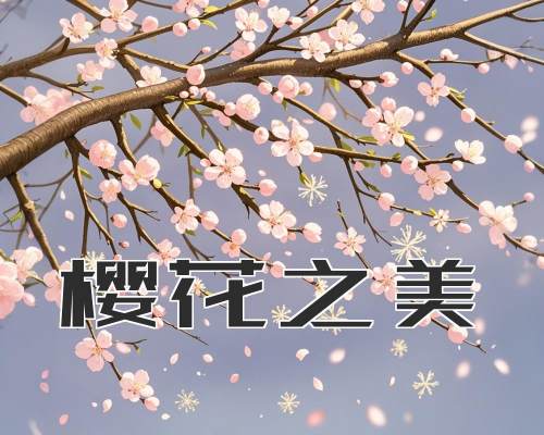 樱花之美
