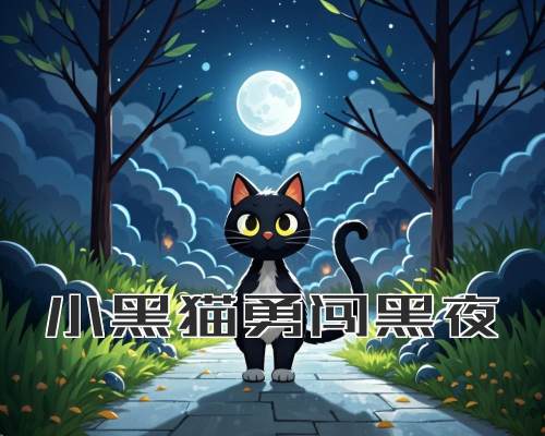 小黑猫勇闯黑夜