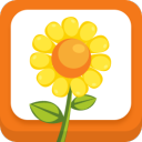 向日葵生长日记