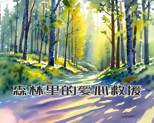 森林里的爱心救援
