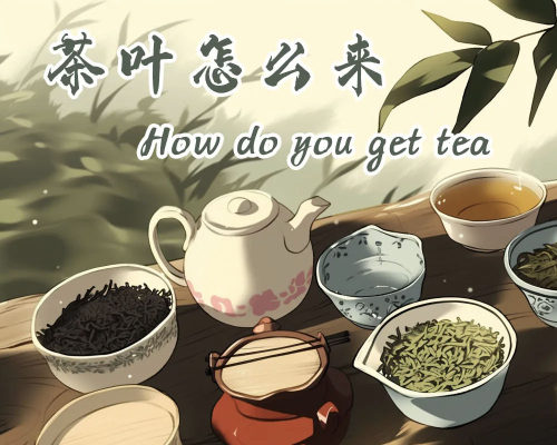 茶叶怎么来