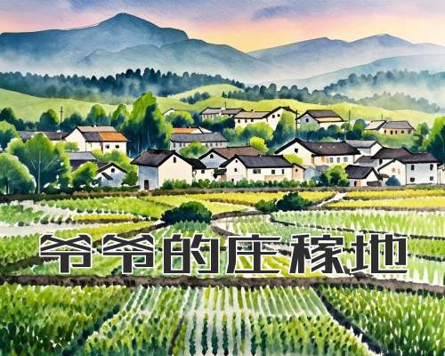 爷爷的庄稼地