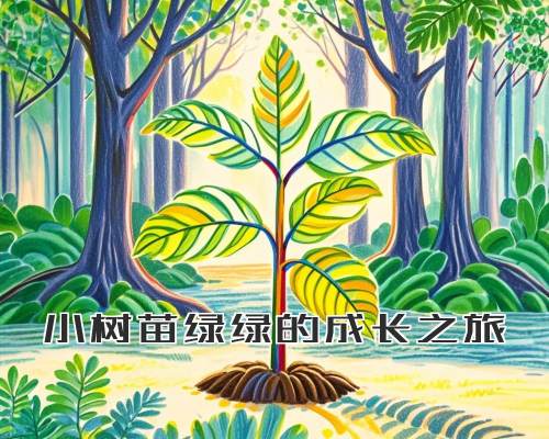 小树苗绿绿的成长之旅
