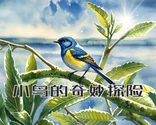 小鸟的奇妙探险