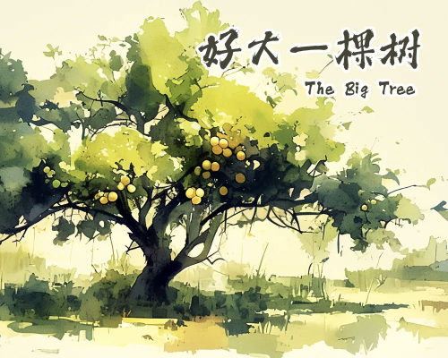 好大一棵树