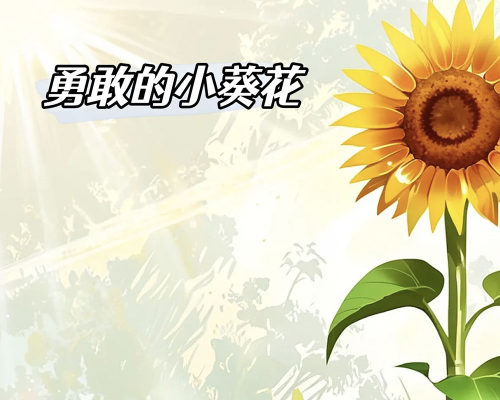 勇敢的小葵花